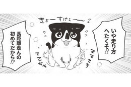 「マンション買ってよかった〜」駆け寄る猫の姿に幸せMAX。走り方がヘタなのには理由が…【借金1000万作曲家の人生を変えてくれた猫の話 #12】 画像