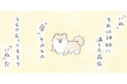 犬の神秘…むっくは胸毛もふわふわ過ぎて「愛」そのものの存在か?!【うちのむっくはいつも楽しそう #９ 】