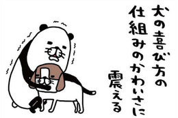 愛犬・梅吉は寝ながら「おなら」…愛おしくて抱くと、まさかの真実が？【パンダと犬 ＃18】