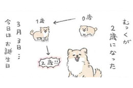 愛犬むっくの誕生日…楽しいことがいっぱいあるらしいと理解した様子だが？【うちのむっくはいつも楽しそう #10 】