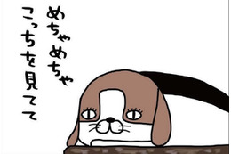 大仕事がひと段落！愛犬に見せたくてたまらない景色とは？【パンダと犬 ＃22】