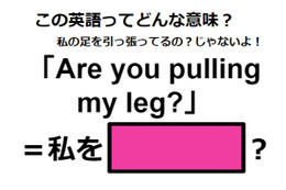 この英語ってどんな意味？「Are you pulling my leg?」