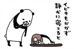 ヨボヨボの愛犬、14歳の梅吉。静かに寝てると思わず取ってしまう行動は？【パンダと犬 ＃24】