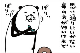世の中思い通りにいかないことのほうが多いけど…犬はかわいい【パンダと犬 ＃27】