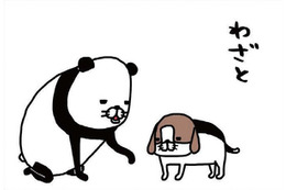 犬にわざと手をふんでもらう理由は？愛犬の肉球、何を感じる？【パンダと犬 ＃30】