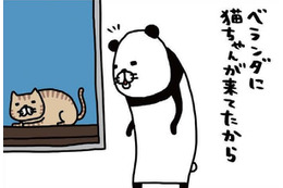 ベランダに猫ちゃん発見。愛犬・梅吉に見せてあげると、お互い同じ反応…【パンダと犬 ＃34】