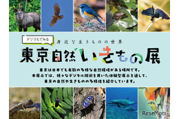 【夏休み2025】デジタルでみる東京自然いきもの展8/2より