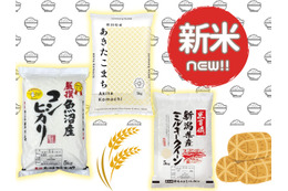 【「新米」（令和７年度産）、今すぐ予約したほうが！】「新米」シーズン到来♪ でも今年はやっぱりお高いの？Amazonの売れ筋３選！≪今トク情報≫