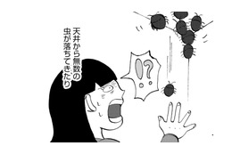 幻視…嫌なものが見えて苦しめられる【統合失調症日記 #17】