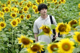 坂口健太郎×渡辺謙『盤上の向日葵』桑田佳祐の“口笛Ver.”が重要シーンに採用　主題歌特別映像も解禁