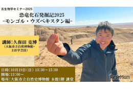 大阪市立自然史博物館「化石を楽しむ2025」10/18-11/16