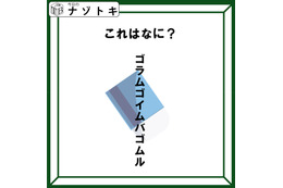 クイズです！「この図が表しているものは？」ヒントは後ろに隠れているもの【難易度LV２.・甘口】 画像