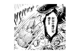 ついに「ヤシガニ」に会えるツアー開始！険しい林道を走り続けて、着いた先は…岩場!?【ぼっち旅 ～人見知りマンガ家のときめき絶景スケッチ～  #３】