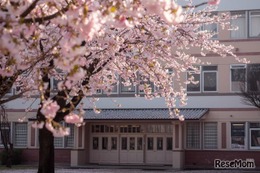 【中学受験2026】今年の人気校は？ねらい目校は？…過去問の売れ行き前年比較で探る注目校＜共学校編・後編＞ 画像