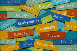 「桜蔭」と「東大」の共通点。「知能にいい影響を与えるのではないか」。東大生が「力を入れるべき」と断言する科目とは？ 画像