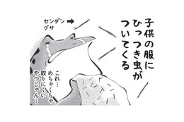 ひっつき虫を服につけて、どんぐりをポケットに入れる…秋がやってきたと感じます【カエル母さん #６】 画像