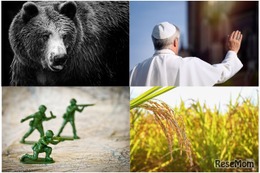 【中学受験2026】速報11・12月実施の入試「時事問題」ローマ教皇・近年の紛争・コメ・熊など