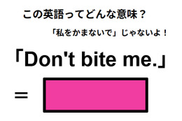 この英語ってどんな意味？「Don’t bite me.」 画像