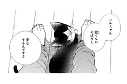 猫は僕のそばだと安心する？ そう言われても実感がわかない… オモチャを片付けようとしたら!?【同居人はひざ、時々、頭のうえ。 #27】 画像