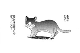 「出て行ったのは猫の意思」だけど、事故にあった両親を思い出して… もう後悔したくない!!【同居人はひざ、時々、頭のうえ。 #47】