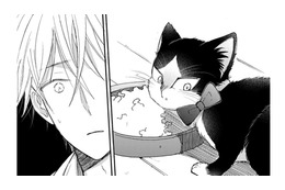 首輪をつけようとすると、かわす猫!! 最後の手段でにエサを食べている途中につけてみると…【同居人はひざ、時々、頭のうえ。 #60】 画像