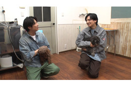 相葉雅紀、“30年来の友人”生田斗真と保護犬トリミング 嵐結成前の思い出話も