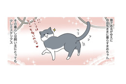 「愛猫の一日」ひとり時間を好み、自由気ままな暮らしぶり。飼い主にとってもミステリアス【おさんぽですし！　おしゃべり犬とイライラ猫の日記 #21】