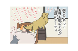 「尻尾ビンタ」町内のみなさんへ朝のご挨拶が日課の愛犬…だけど、なぜそこでやる?!【おさんぽですし！　おしゃべり犬とイライラ猫の日記 #27】