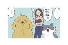 カラスの巣作りの季節到来。静かに様子を眺める猫と犬…実はビビってただけ？【おさんぽですし！　おしゃべり犬とイライラ猫の日記 #29】 画像