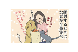 なぜだろう？ネットで購入した服が届くと全員集合。猫は値札タグで暴れ、愛犬は…【おさんぽですし！　おしゃべり犬とイライラ猫の日記 #30】 画像