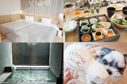 愛犬との初お泊り旅行にも！箱根の温泉ホテル「RETONA HAKONE」で家族みんなが喜ぶ快適な旅を