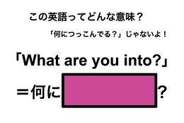 この英語ってどんな意味？「What are you into?」 画像