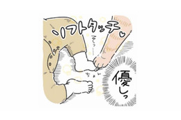 狩りモードかと思いきや…小さな赤ちゃんにはソフトタッチ【猫がおしりを向けてきます #１】 画像