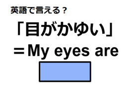 英語で「目がかゆい」は何て言う？ 画像
