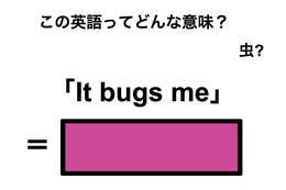 この英語ってどんな意味？「It bugs me」 画像