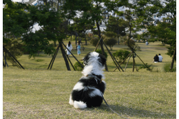 ボロボロで震えていた子犬を保護⇒1年後、わが家に帰宅した瞬間…“見違える姿”に「本当に幸せそう」 画像