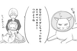 お腹をケガした「ねこまた」。エリザベスカラーをつけた姿を見た小豆とぎは…【ウチの百鬼夜行 #28】 画像