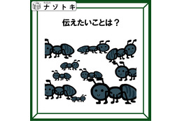 クイズです！「このイラストが伝えていることは？」生き物がたくさんいますね【難易度LV２.・甘口】