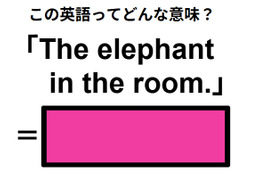 この英語ってどんな意味？「The elephant in the room.」