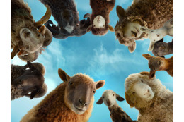 ヒュー・ジャックマン主演の新感覚ミステリー『ひつじ探偵団』もふもふカット公開！