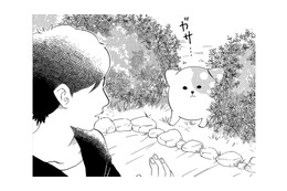 「絶対出てきちゃダメだぞ」言い聞かせたのに、庭に出てきてしまったきのこいぬ【きのこいぬ #14】 画像