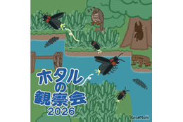 東京・練馬で「ホタルの観察会」6-7月…展示や体験も 画像
