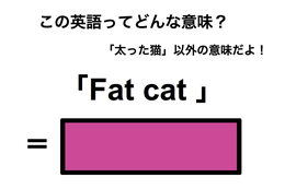 この英語ってどんな意味？「Fat cat」