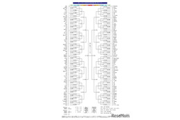 【高校野球2026夏】神奈川大会の組合せ決定…横浜は7/9初戦 画像
