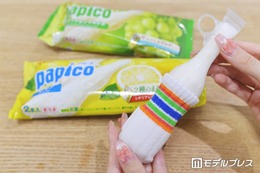 ファミマ45周年デザインの「パピコセーター」をゲット！昨年売り切れの人気アイテムが新柄で再登場 画像