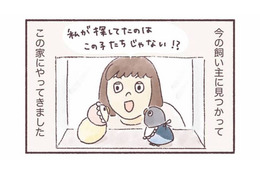 同じ誕生日、同じケースにいた2羽のインコ。偶然の出会いから始まるインコとの暮らし【うちのインコたちは今日もおしゃべり #１】