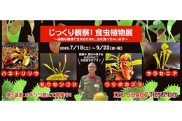 【夏休み2026】伊豆シャボテン動物公園「食虫植物展」7-9月…自由研究にも