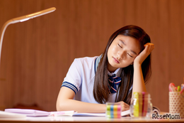 【夏休み2026】レポートが書けない…東大生直伝！自由研究の考察とまとめ方