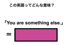 この英語ってどんな意味？「You are something else.」