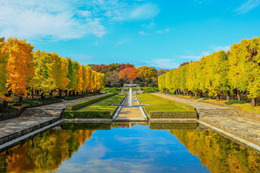 昭和記念公園で「黄葉・紅葉まつり＆秋の夜散歩2026」開催 光と音楽の演出も息をのむ美しさ